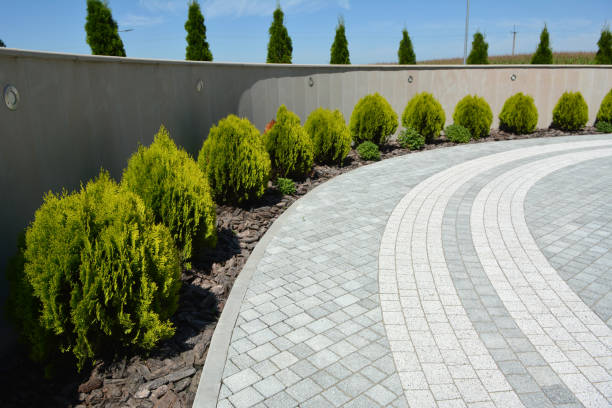 Best Driveway Paving Near Me  in , CT